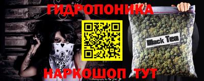 прущие крисы Новодвинск