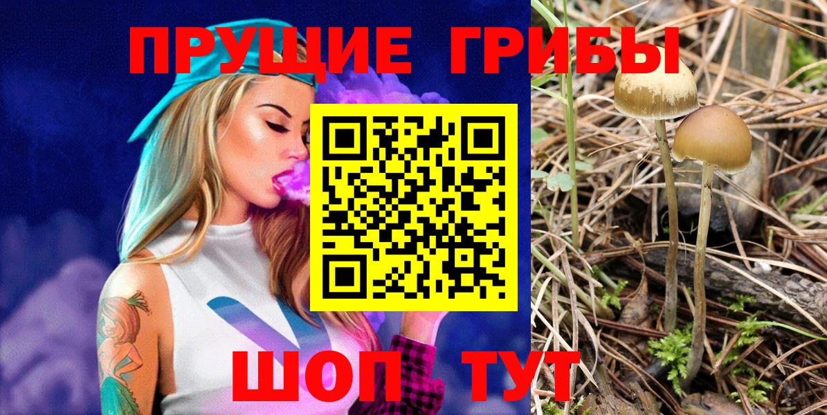 Тамбов  Псилоцибиновые грибы MAGIC MUSHROOMS  Вход с VPN 