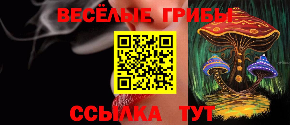 Галлюциногенные грибы прущие грибы Тамбов